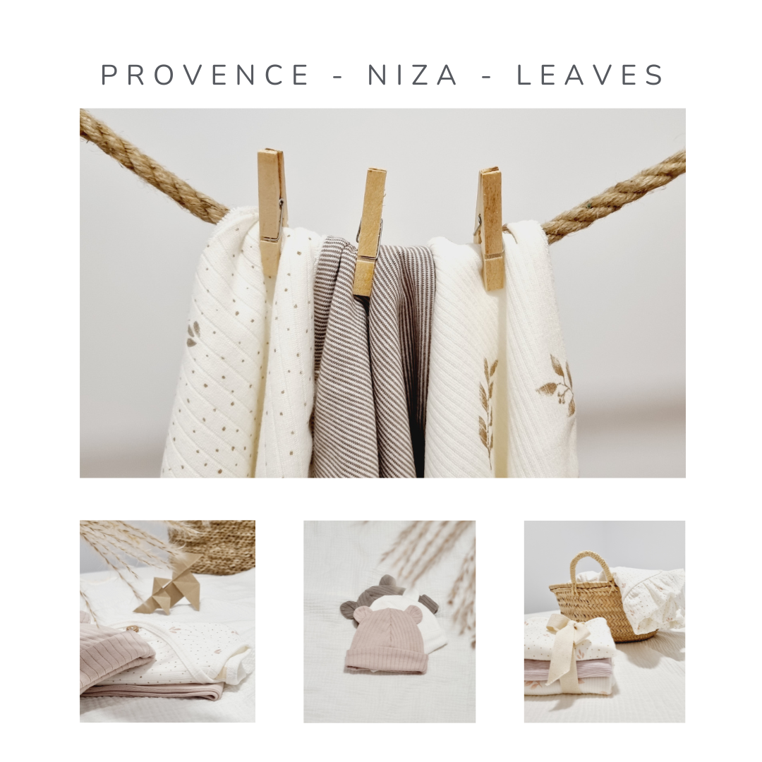 PROVENCE - NIZA - LEAVES